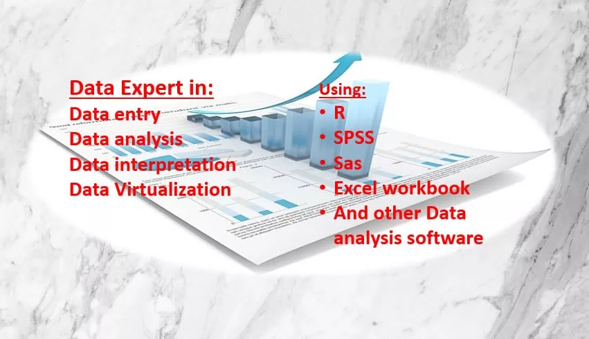 do data analysis using spss, excel, r stata and sas software