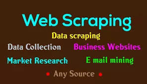 Expert Data Scraping Services for Accurate and Timely Results