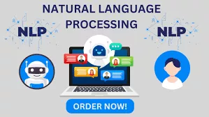 Expert Natural Language Processing Services for Your AI Needs